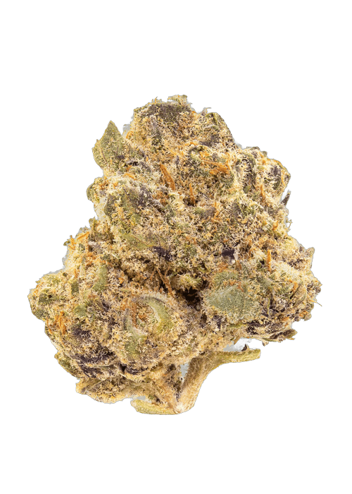 Apple Fritters - 3.5g