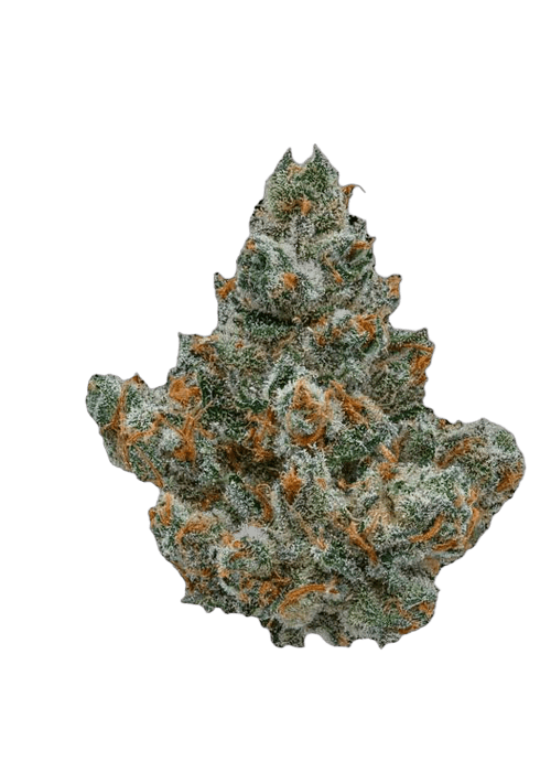 Gelato 41 - 3.5g