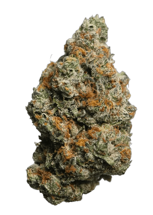 Biscotti - 3.5g