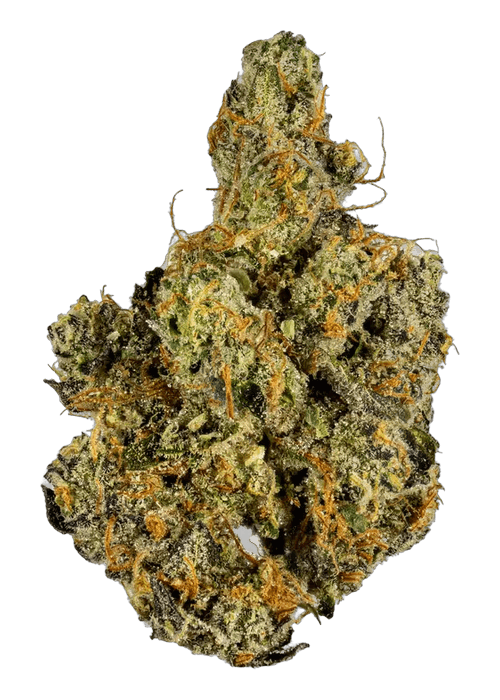 Garlic Cookies - 3.5g