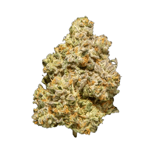 Gelato Cake - 3.5g